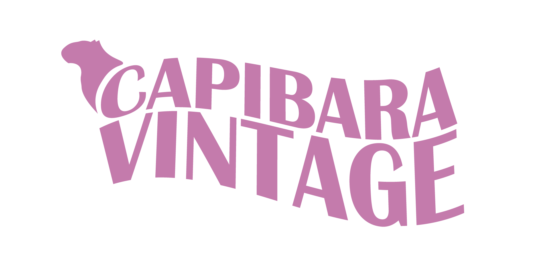 Capibara Vintage